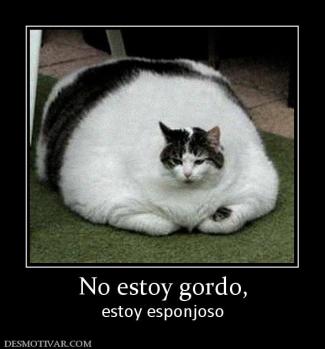 No estoy gordo, estoy esponjoso