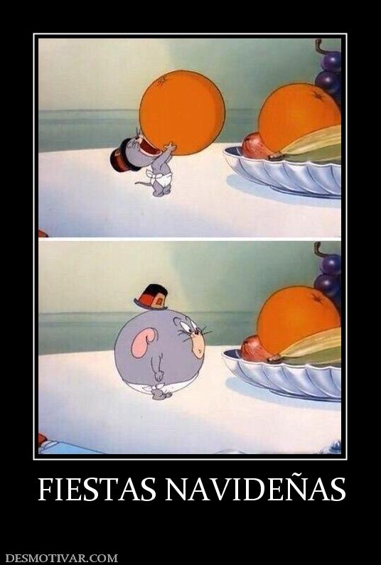 FIESTAS NAVIDEÑAS