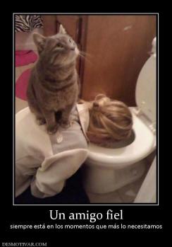 Un amigo fiel siempre está en los momentos que más lo necesitamos