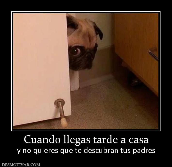 Cuando llegas tarde a casa y no quieres que te descubran tus padres