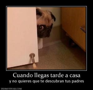 Cuando llegas tarde a casa y no quieres que te descubran tus padres