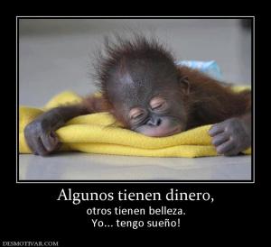 Algunos tienen dinero, otros tienen belleza. Yo... tengo sueño!