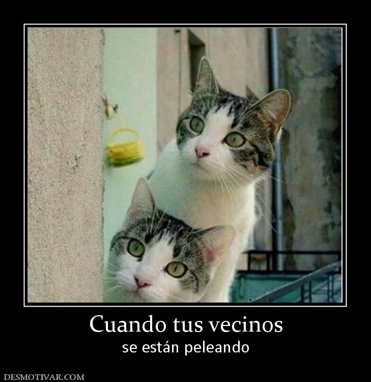 Cuando tus vecinos se están peleando