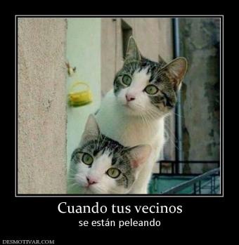 Cuando tus vecinos se están peleando