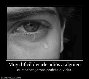 Muy difícil decirle adiós a alguien que sabes jamás podrás olvidar.
