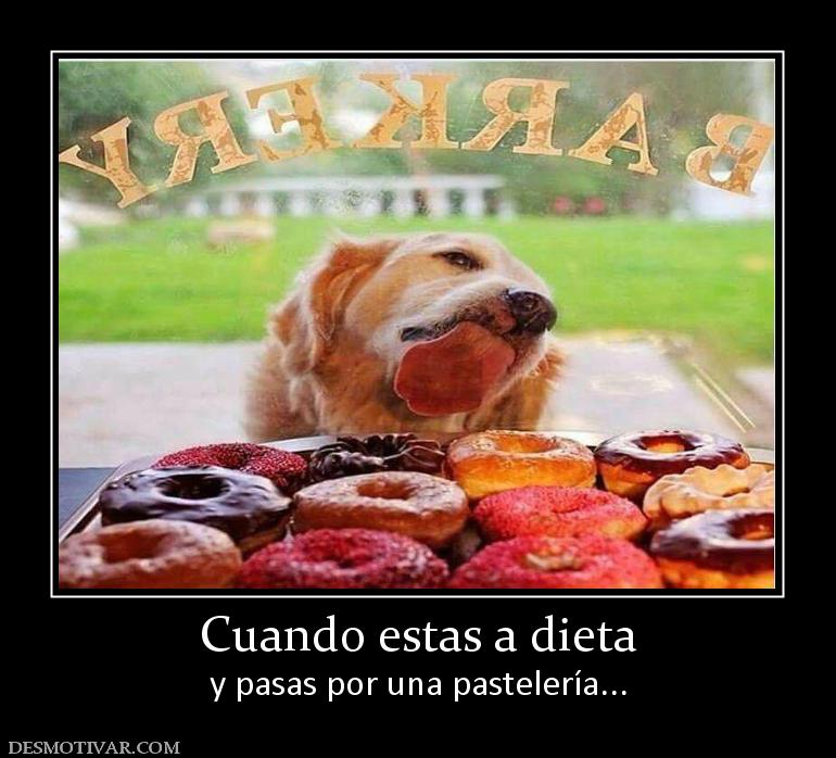 Cuando estas a dieta y pasas por una pastelería...