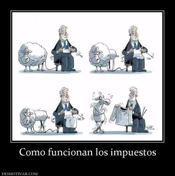 Como funcionan los impuestos