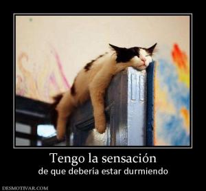 Tengo la sensación de que debería estar durmiendo