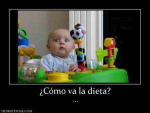 ¿Cómo va la dieta? ...