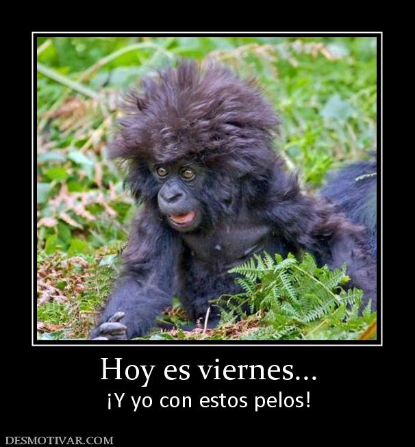 Hoy es viernes... ¡Y yo con estos pelos!