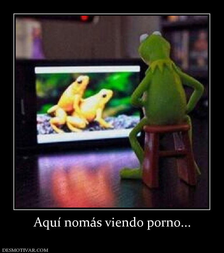Aquí nomás viendo porno...