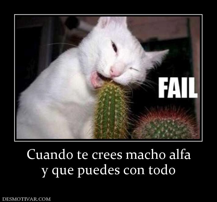 Cuando te crees macho alfa y que puedes con todo