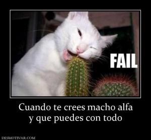 Cuando te crees macho alfa y que puedes con todo
