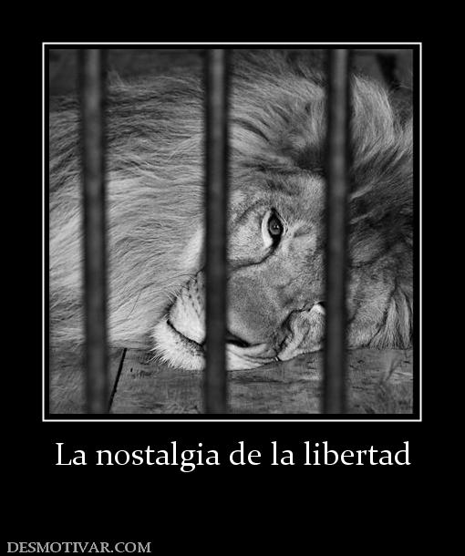 La nostalgia de la libertad