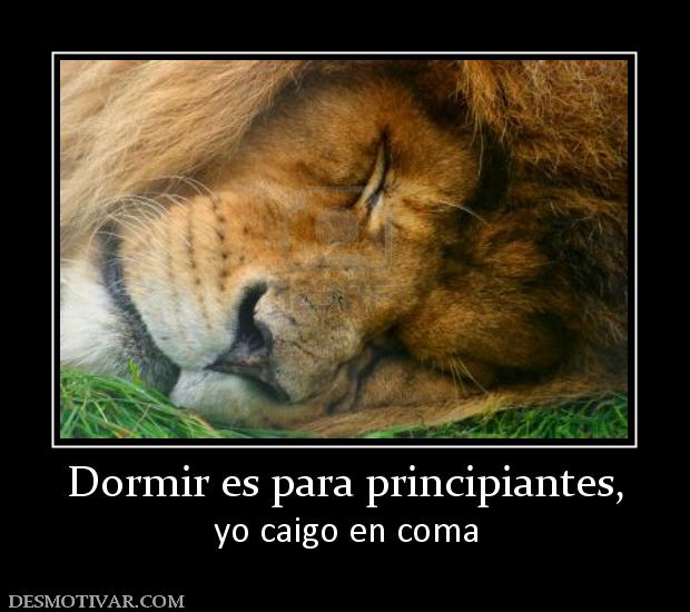 Dormir es para principiantes, yo caigo en coma