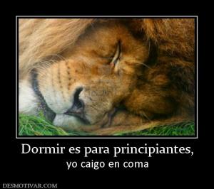 Dormir es para principiantes, yo caigo en coma