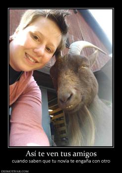 Así te ven tus amigos cuando saben que tu novia te engaña con otro