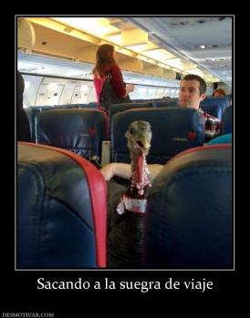 Sacando a la suegra de viaje