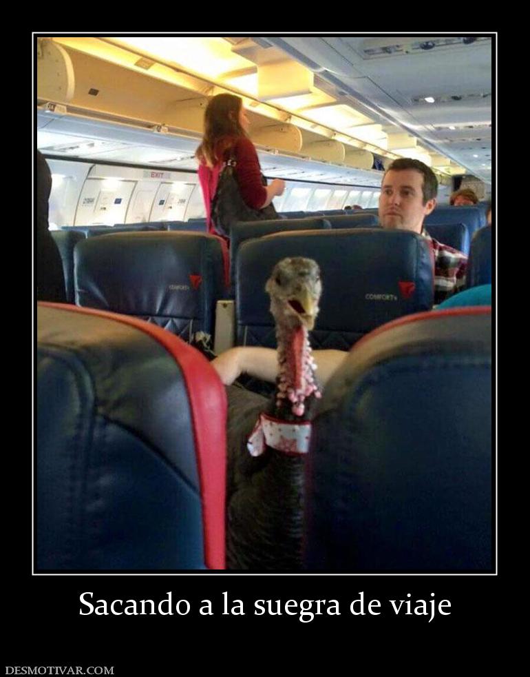 Sacando a la suegra de viaje