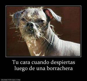 Tu cara cuando despiertas luego de una borrachera
