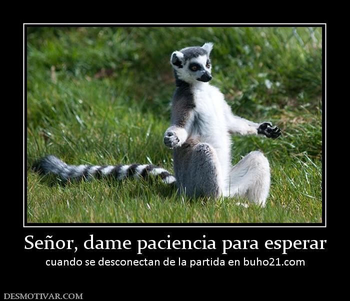 Señor, dame paciencia para esperar cuando se desconectan de la partida en buho21.org