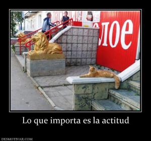 Lo que importa es la actitud