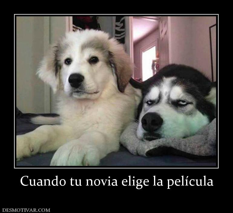 Cuando tu novia elige la película