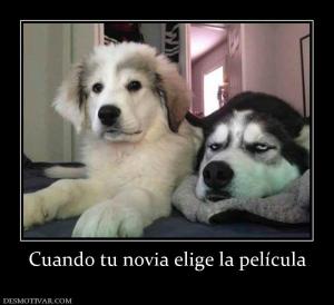 Cuando tu novia elige la película