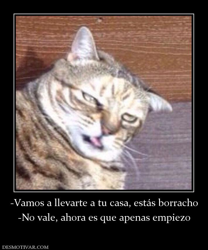 -Vamos a llevarte a tu casa, estás bor -No vale, ahora es que apenas empiezo