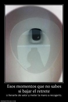 Esos momentos que no sabes si bajar el retrete  o llenarte de valor y meter la mano a recogerlo.