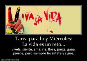 Tarea para hoy Miércoles: La vida es un reto... vívela, siente, ama, ríe, llora, juega, gana, pierde, pero siempre levántate y sigue.