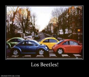 Los Beetles!