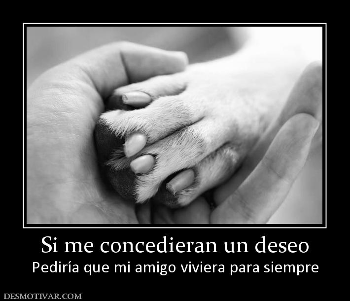 Si me concedieran un deseo Pediría que mi amigo viviera para siempre