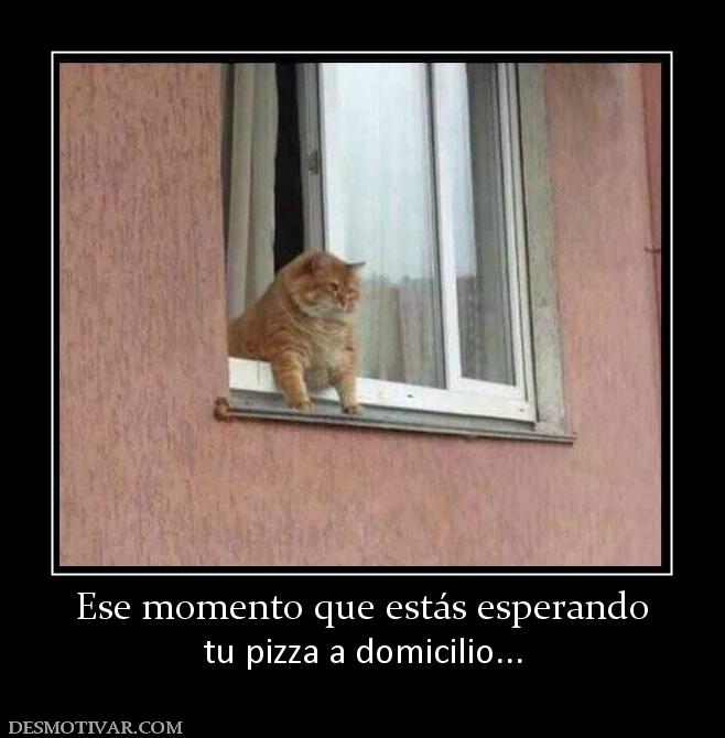 Ese momento que estás esperando tu pizza a domicilio...