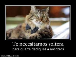 Te necesitamos soltera para que te dediques a nosotros