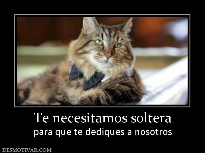 Te necesitamos soltera para que te dediques a nosotros