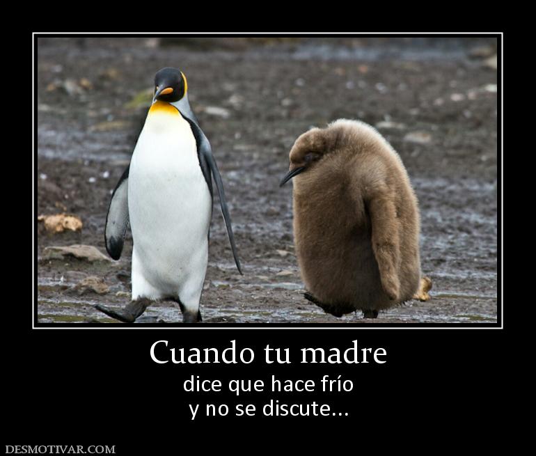 Cuando tu madre dice que hace frío y no se discute...