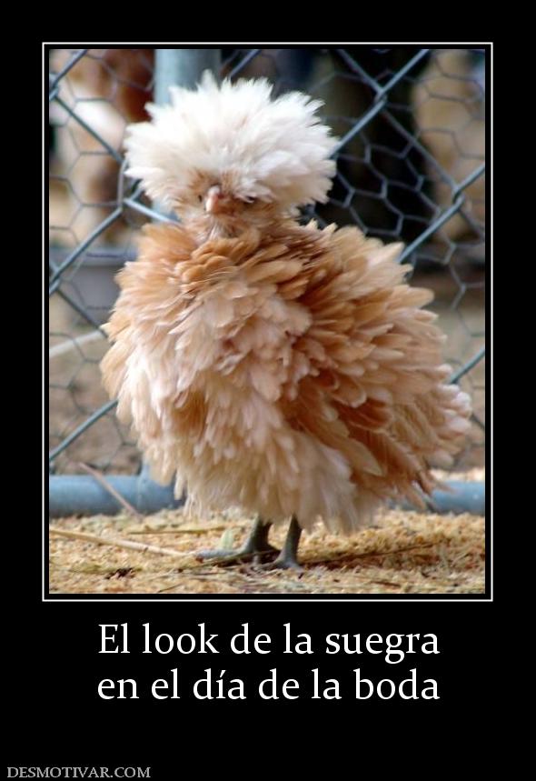 El look de la suegra en el día de la boda