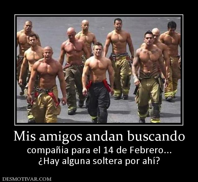 Mis amigos andan buscando compañia para el 14 de Febrero... ¿Hay alguna soltera por ahí?