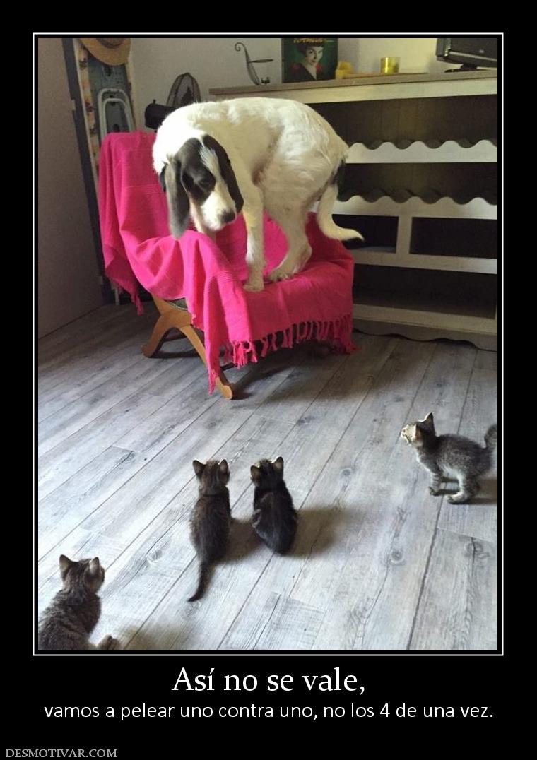 Así no se vale, vamos a pelear uno contra uno, no los 4 de una vez.