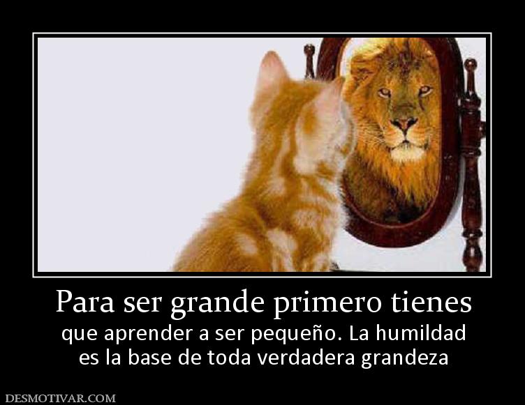 Para ser grande primero tienes que aprender a ser pequeño. La humildad es la base de toda verdadera grandeza