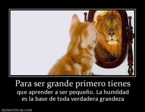 Para ser grande primero tienes que aprender a ser pequeño. La humildad es la base de toda verdadera grandeza