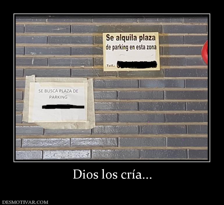 Dios los cría...