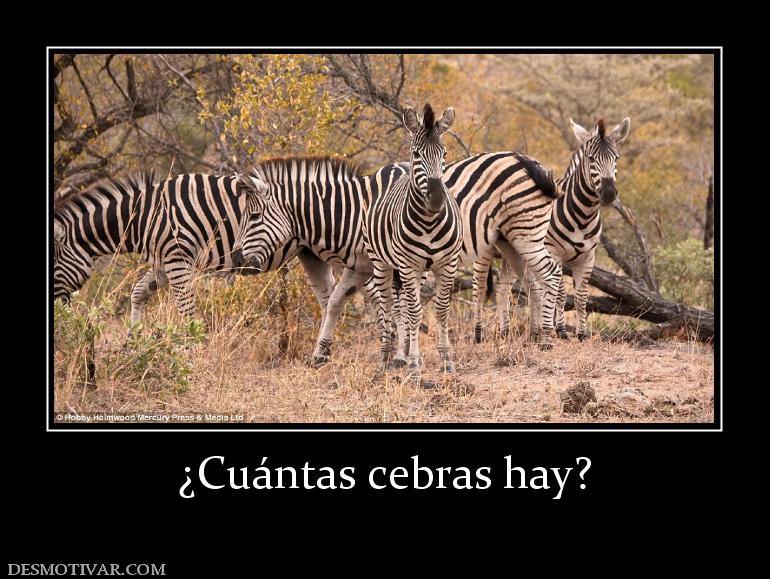 ¿Cuántas cebras hay?