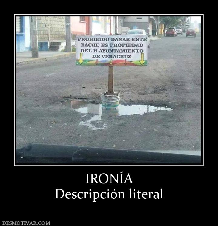 IRONÍA Descripción literal
