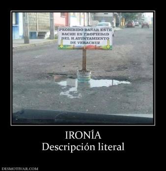 IRONÍA Descripción literal