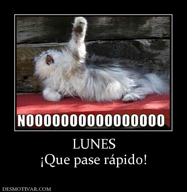 LUNES ¡Que pase rápido!