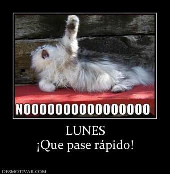LUNES ¡Que pase rápido!
