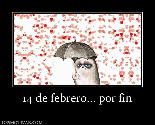 14 de febrero... por fin