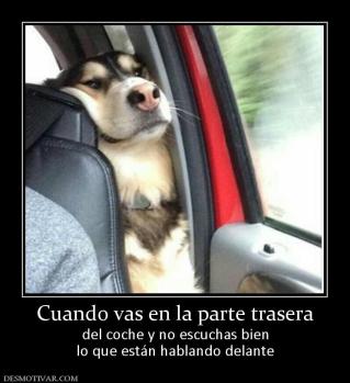 Cuando vas en la parte trasera del coche y no escuchas bien lo que están hablando delante